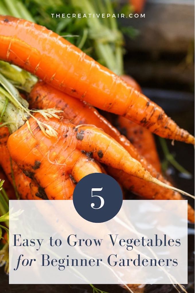 5 Easy to Grow Vegetables for Beginner Gardeners